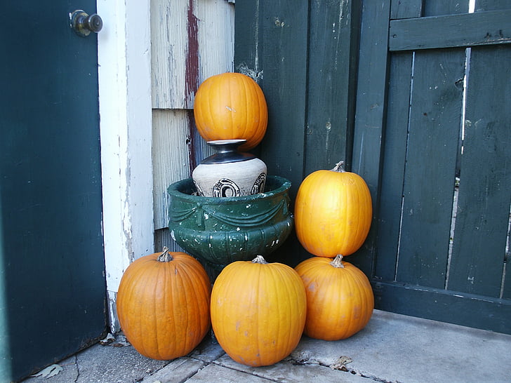 autumn, november, pumpkin, fall, october, pumpkins, halloween