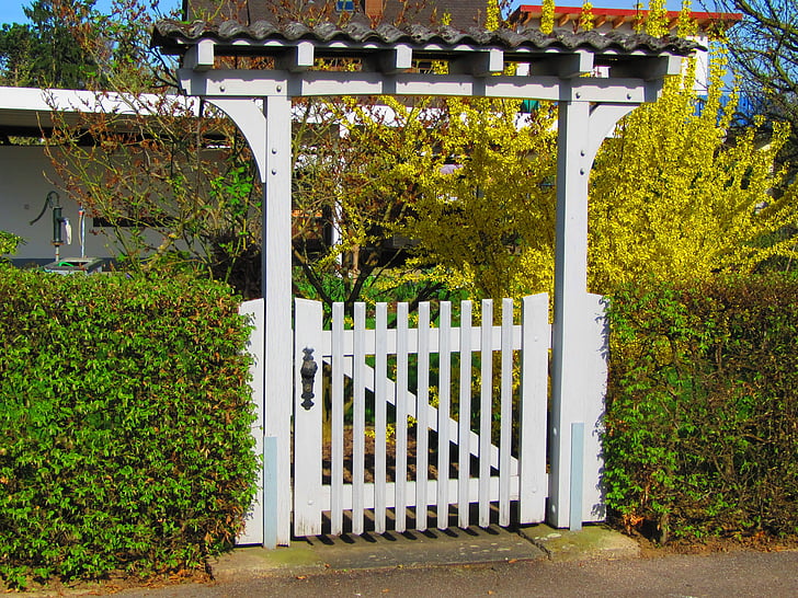 objectif, portail de jardin, porte, clôture, blanc, entrée, décoratifs