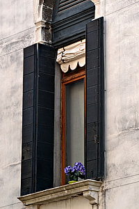 window, flowers, shutters, venice, italy