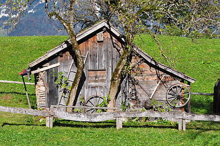 vacation, hut, alpine hut, mountain hut, wood, old, meadow