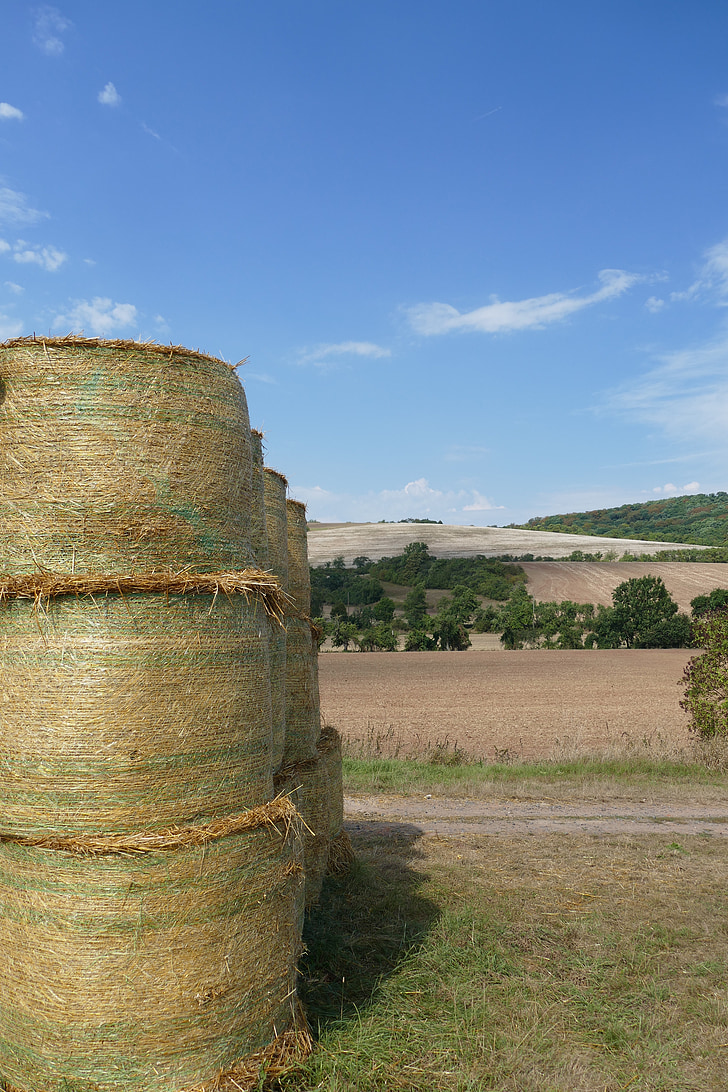straw bales, field, summer, nature, arable, cereals, harvest