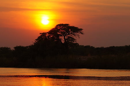 silhuet, træ, Afrika, Botswana, Okavango-deltaet, Sunset, refleksion