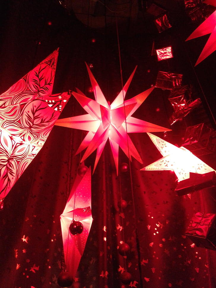 poinsettia, Star, Christmas, rouge, adventsstern, décoration de Noël
