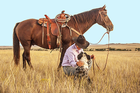 Cowboy, hest, hund, græs, vestlige, Ranch, Ranch jord