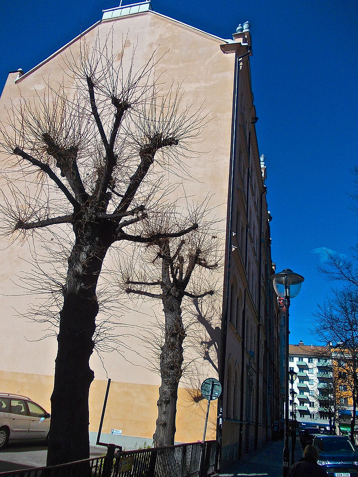 fasáda, strom tieni, Mariatorget, Stockholm