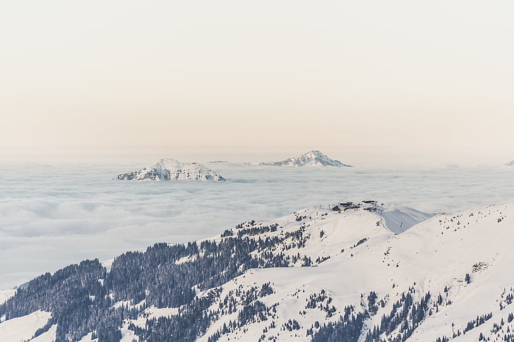 Alpin, skogen, bergen, över molnen, topp, Resort, ski resort