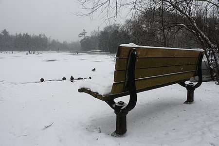 ベンチ, 湖, 風景, 鴨, 座っています。, 自然, 冬