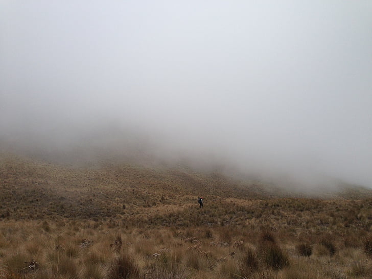 fog, mountain, landscape, woods, night, mystery, dark