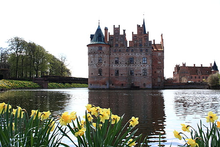 Fyn, egeskov, dvorac, proljeće, Danska, arhitektura, toranj