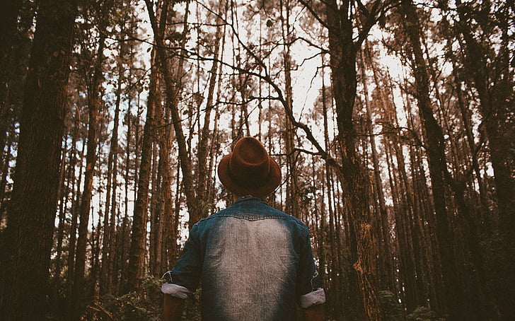 people, man, denim, hat, woods, forest, trees