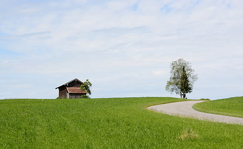 pole stodole, Stodoła, Hut, pole, łąka, Rolnictwo, stary