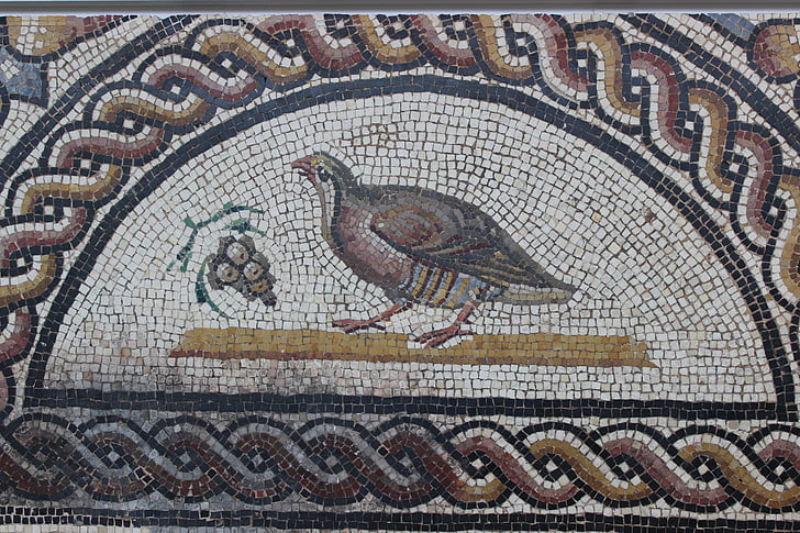 antiguidade, mosaico, Roma, vestígio, Arqueologia, St-romano-en-gal, pássaro