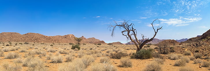 l’Afrique, Namibie, nature sauvage, paysage, Tiras mountains, aride, sec