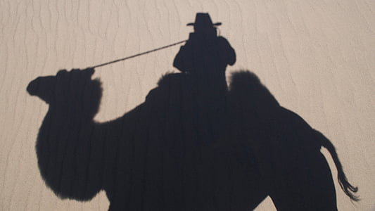 Zelfportret, Camel, silhouet