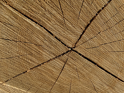 木材, 木, 構造, ひびの入った, 年輪, フォレスト, 粒