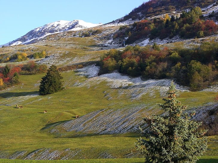otoño, montañas, nieve, Suiza, paisaje, naturaleza, montaña