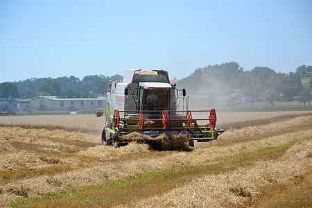 combine harvester, harvest, cereals, grain, arable, agriculture, cornfield