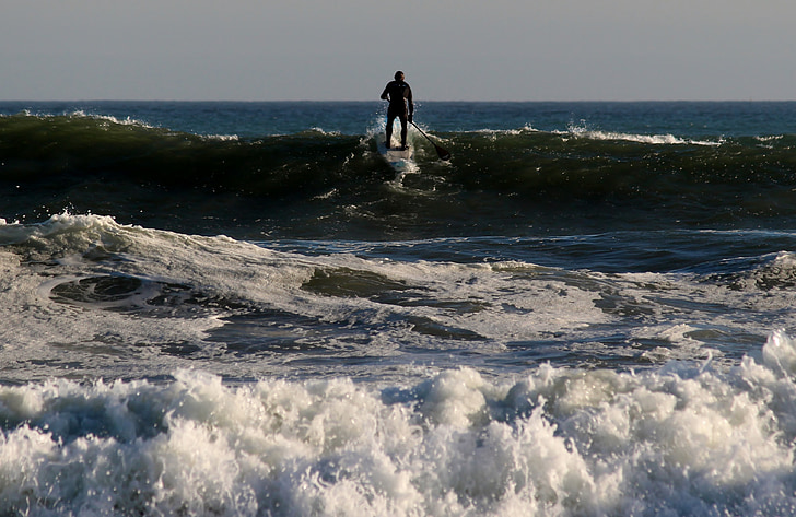 surfer, padle, stand up padling, bølge, surfing, våte, sjøen