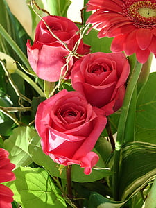 roser, buket, blomster, Bloom, blomstermotiver, Kærlighed, bryllup