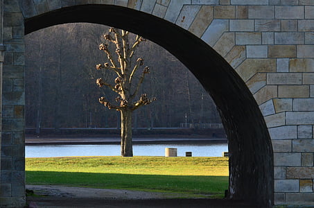 Zámocký park, lúka, strom, Park, Schlossgarten, zimné, castle Moritzburg