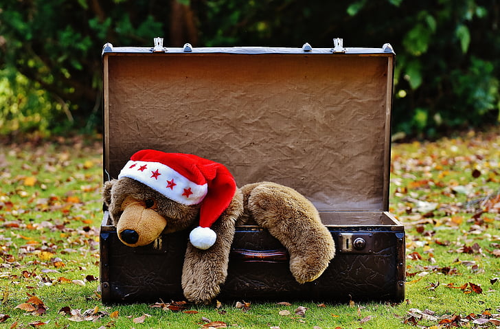 Kalėdos, bagažo, antikvariniai, meškiukas, Minkštasis žaislas, iškamša, Žaislai