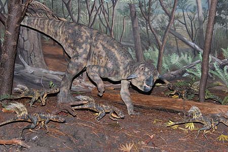 dinosaurus, psittacosaurus, psittacosaurus mongoliensis, chordata, ceratopsian dinosaurus, sukupuuttoon, esihistoriallinen