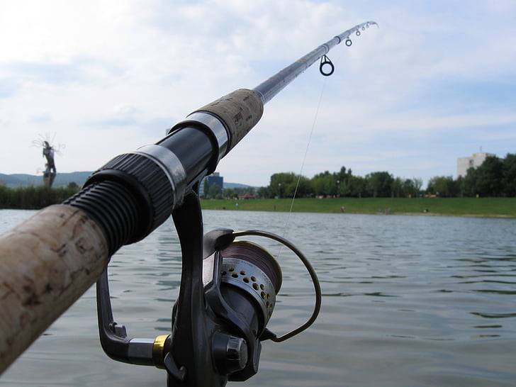 Rybaření, tyč, voda, loví ryby, venku, rybářský naviják, Příroda