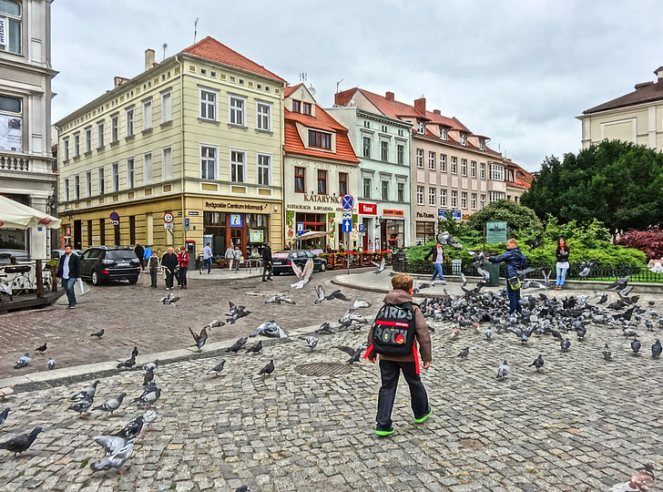 turgaus aikštė, Bydgoszcz, balandžiai, balandžiai, pulko, paukščiai, vaikas