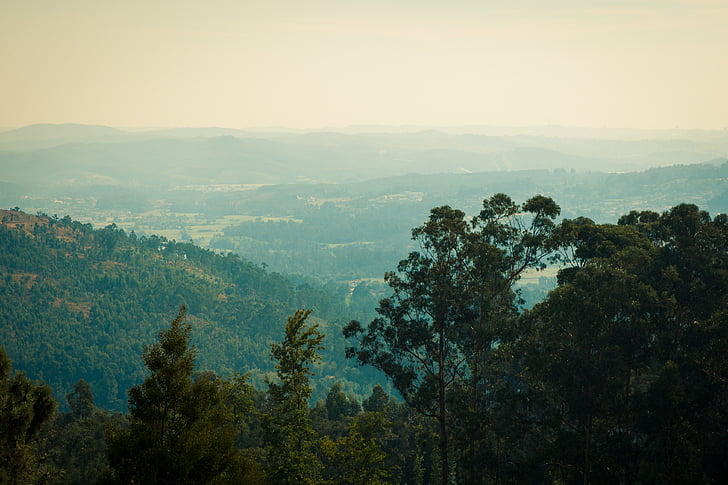 Portugal, skogen, Mountain, landskap, naturen, moln, Hill