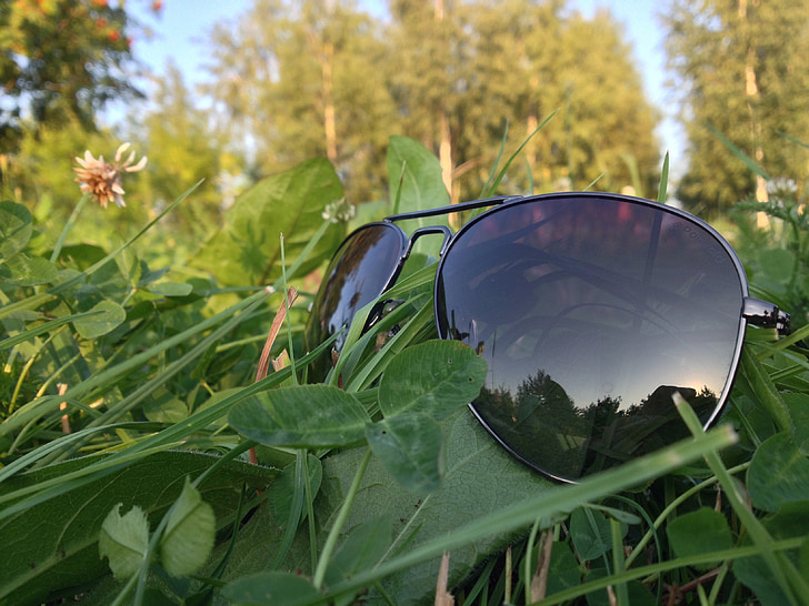 ulleres de sol, herba, sol, natura, verd, vacances, llum del sol