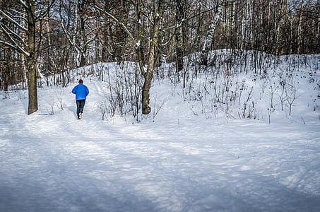 jogging, vinter, snö, träd, naturen