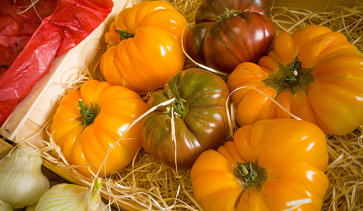 トマト, 野菜, 野菜の庭, 食品, カボチャ, 野菜, 秋