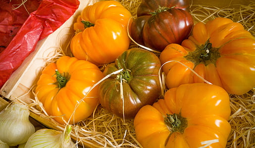 помидоры, овощи, огород, питание, Тыква, овощной, Осень