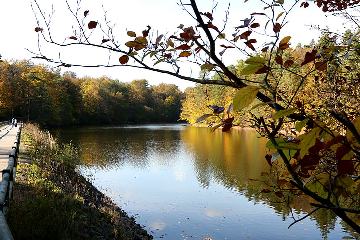 Lake, herfst, natuur, Bear lake, Stuttgart, weerspiegelen
