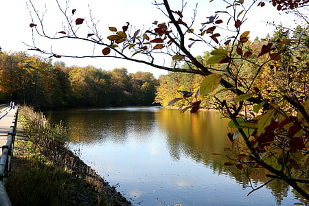 sjön, hösten, naturen, Björnsjön, Stuttgart, återspegla