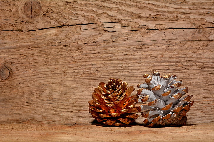 cones do pinho, madeira, plano de fundo