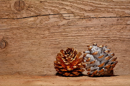 pine cones, wood, background