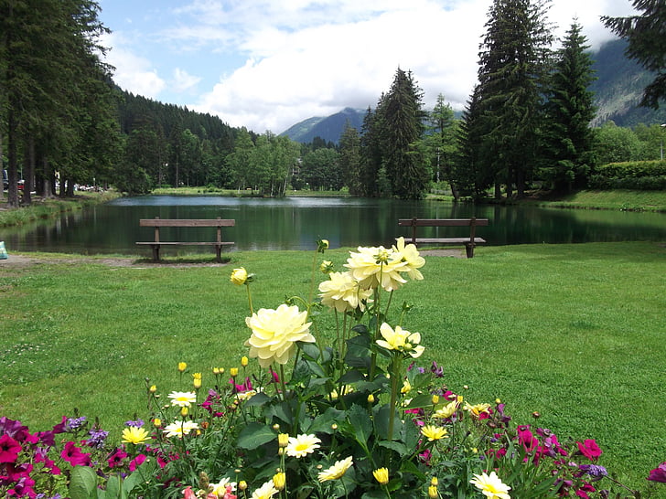 Lake, công viên, Pháp, Chamonix, Thiên nhiên, nước, cảnh quan