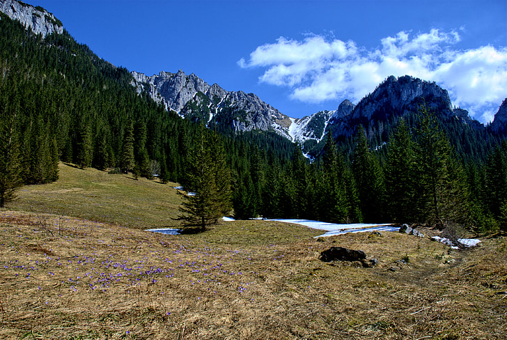 Tatry, Kościeliska údolí, Zimní, jaro, cestovní ruch, Západní Tatry, krajina