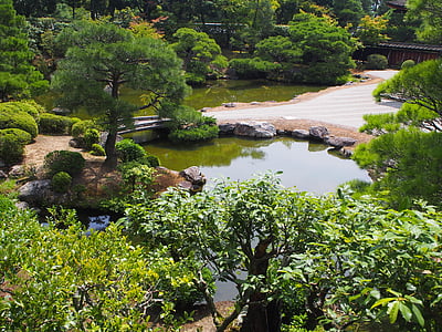 선, 일본, 정원, 연못, 단풍, 아시아, 마 레