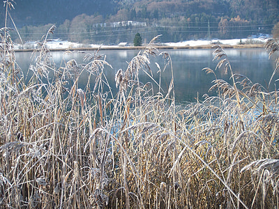 Zimní jezero, Zimní, zmrazené, Příroda, mráz, chlad, Reed
