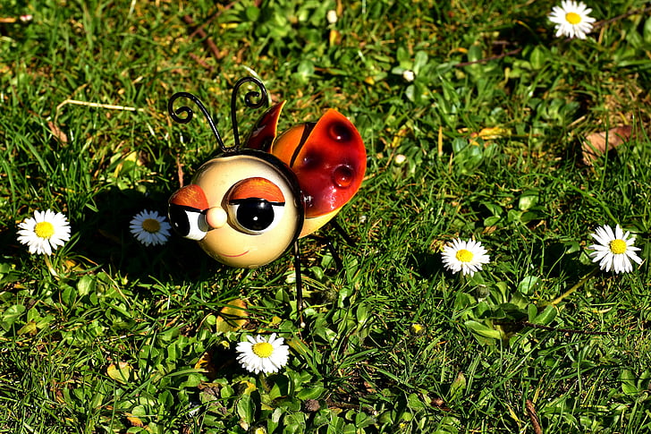 ladybug, sheet, colorful, cute, figure, funny, daisy