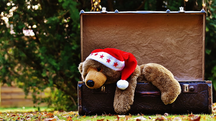 Ziemassvētki, Bagāžas, antīks, Tedijs, mīksto rotaļlietu, dzīvnieka izbāzeni, rotaļlietas