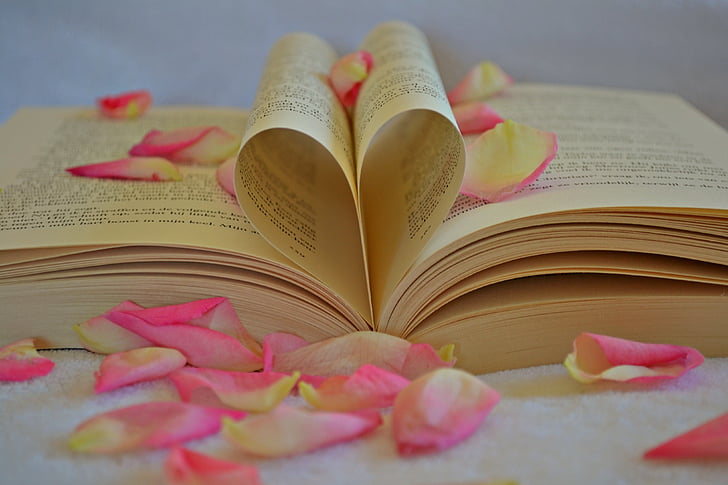 blur, könyv, közeli kép:, dekoráció, oktatás, fókusz, szív