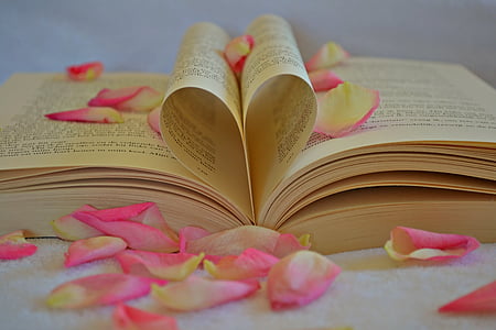 knyga, širdies, pačiame miesto centre, Romantiškas, Romantika, Valentino, širdies formos
