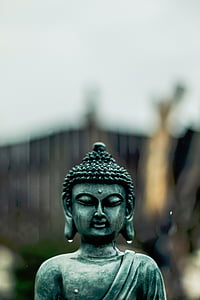 Art, veistos, patsas, Buddha, kivi