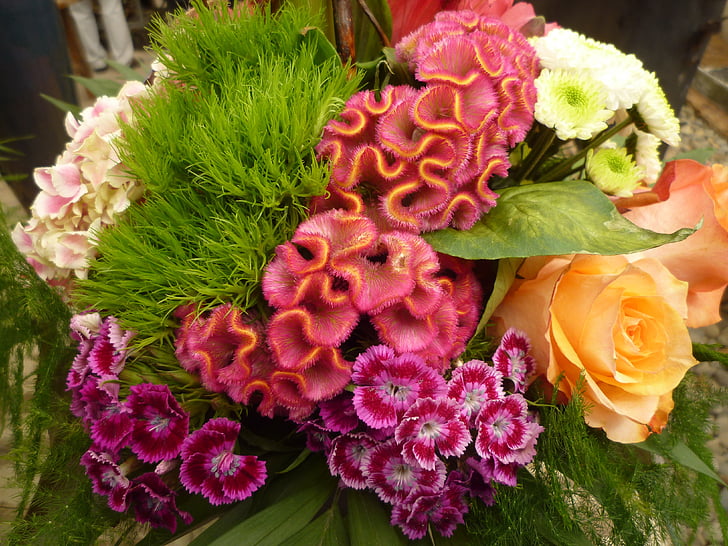 kleurrijke, bloemen arrangement, boeket, teentjes, natuur, bloem, plant