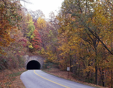 tunel, liści, upadek, jesień, Blue ridge parkway, drzewa, sezon