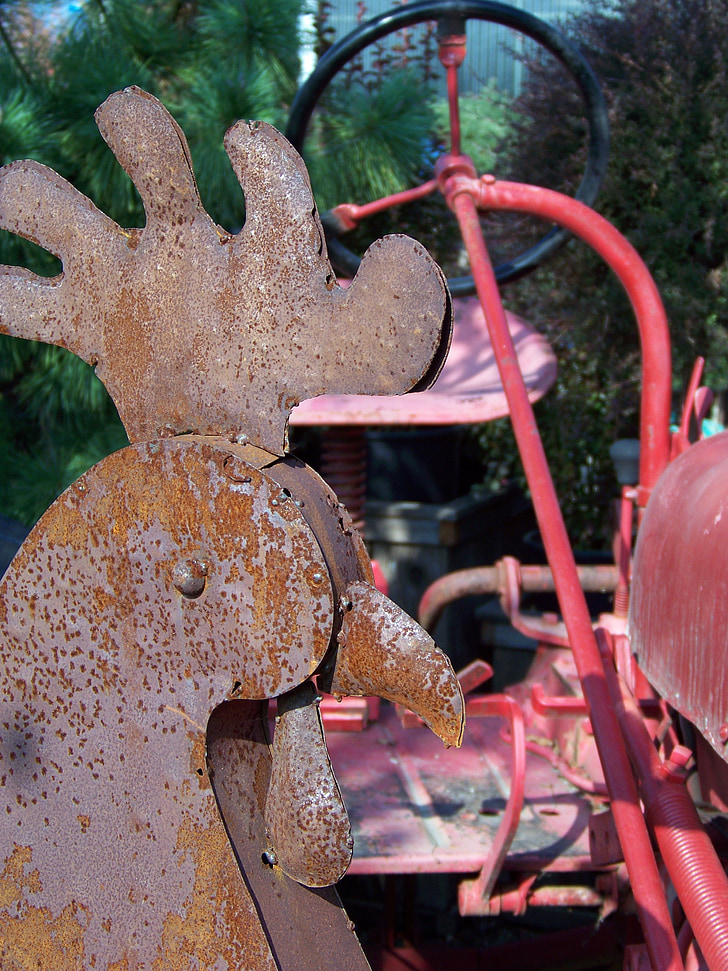 rust, metal, iron, old, rooster, farm, rustic
