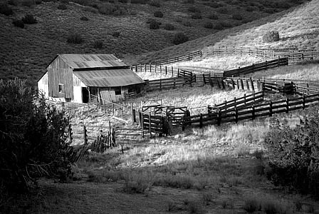 barn, black-and-white, farm, farmhouse, fence, grass, landscape